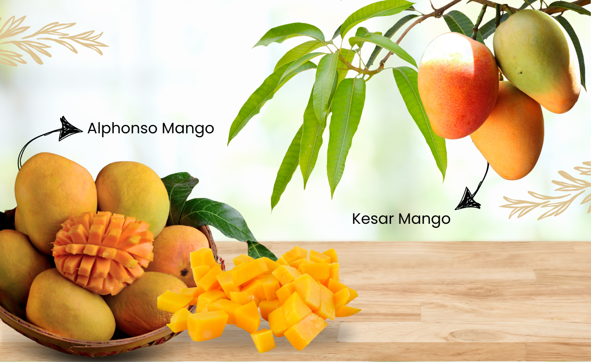 Alphonso vs. Kesar Mangoes: Which One Should You Choose?
